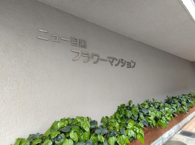 282画像